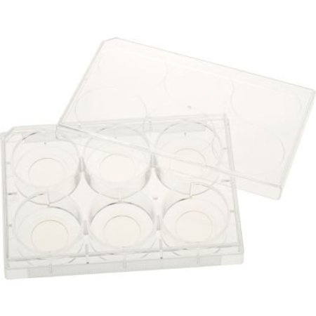 CELLTREAT SCIENTIFIC PRODUCTS CELLTREAT 6 Well Tissue Culture Plate with Lid, 20mm Glass Bottom, Individual, Sterile, 5/PK 229107